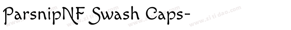 ParsnipNF Swash Caps字体转换